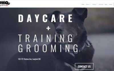 Small Business Spotlight: K9HQ Doggy Daycare Plus Victoria BC